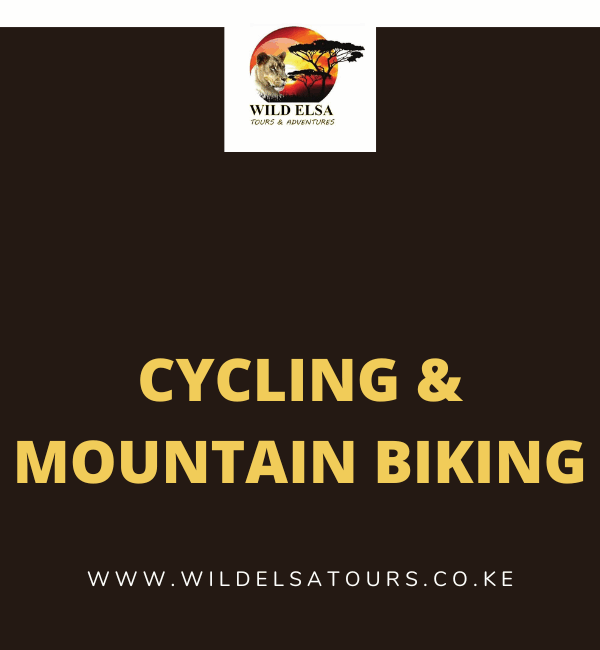Cycling & Mountain Biking
