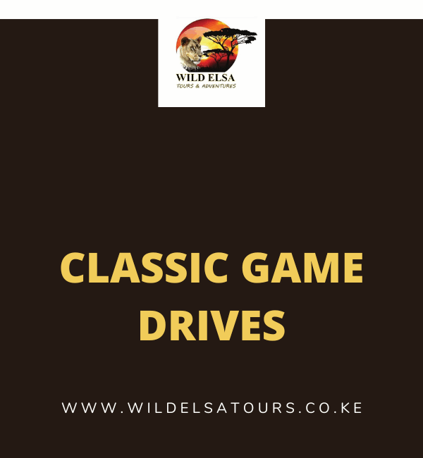 Classic Game Drives
