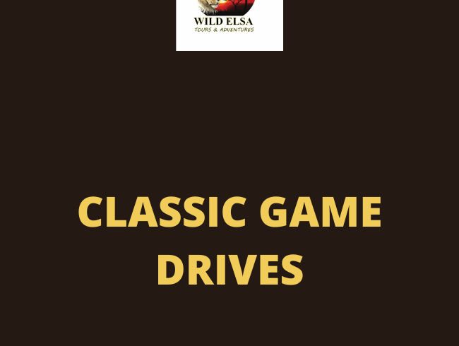 Classic Game Drives