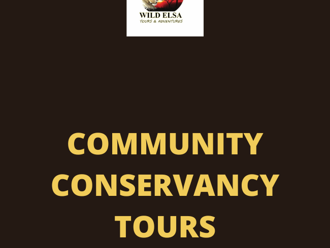 Community Conservancy Tours