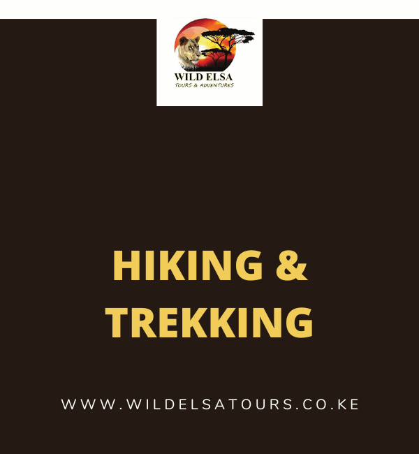 Hiking & Trekking