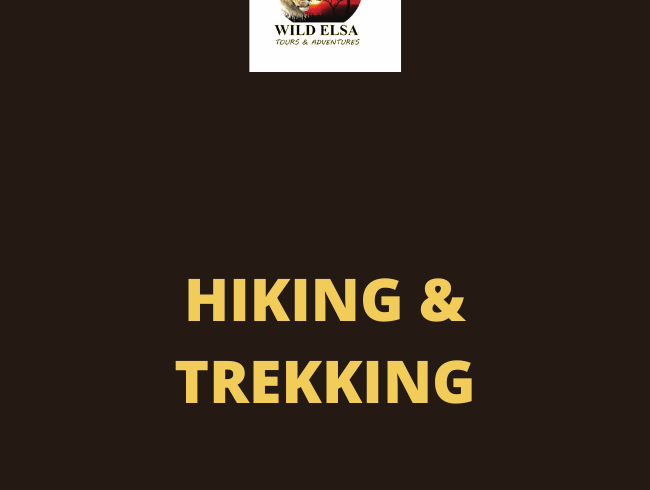 Hiking & Trekking