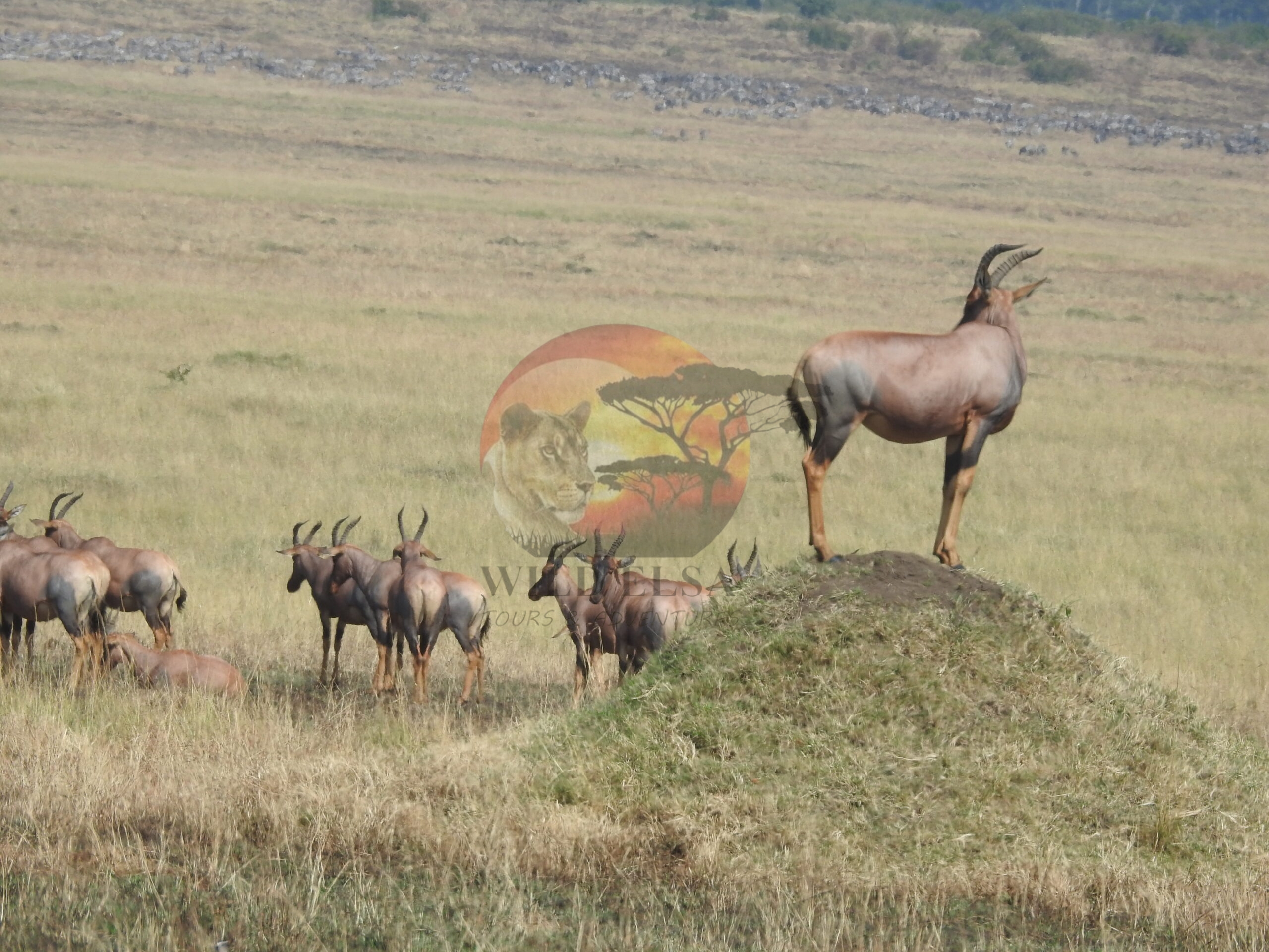 DSCN7580
